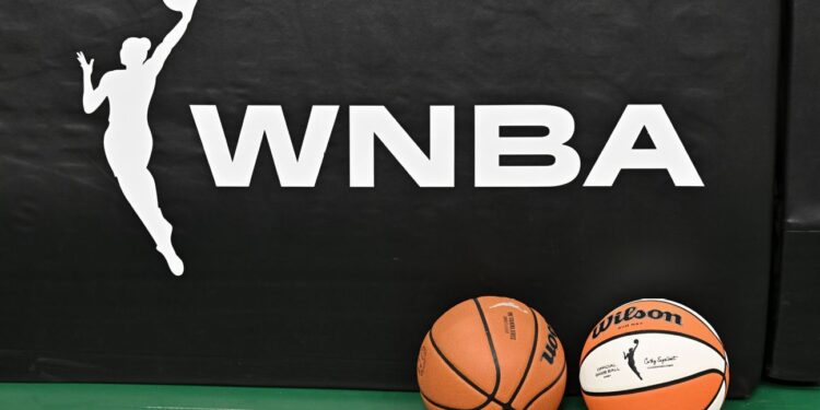 WNBA fan accused of throwing sex toy faces multiple charges