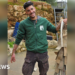 Jerusalem zoo worker killed by tiger
