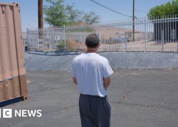 Stay or go? Under Trump, dreams fade for Chinese who trekked to US