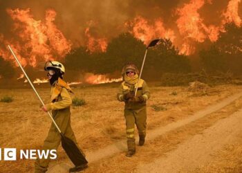 Spain at ‘extreme risk’ of new wildfires as 14 blazes spread