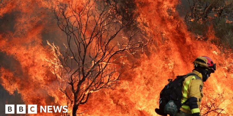 EU sends help as death toll rises