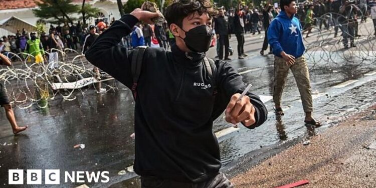 Indonesia protesters clash with police after death of taxi driver