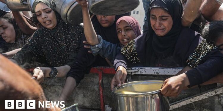 New Israeli rules stopping critical aid getting into Gaza, charities says