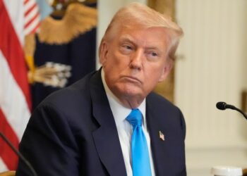 Switzerland says ‘disappointed’ by Trump tariffs, will try to negotiate | Donald Trump News