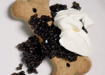 From the Archives: Jeffrey Steingarten on Gourmet Doggy Dining