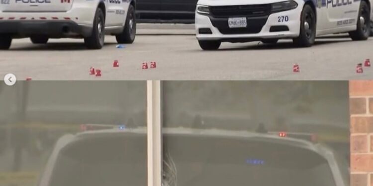 Canada murders spark calls to label India’s Bishnoi gang a ‘terror’ group | Crime News