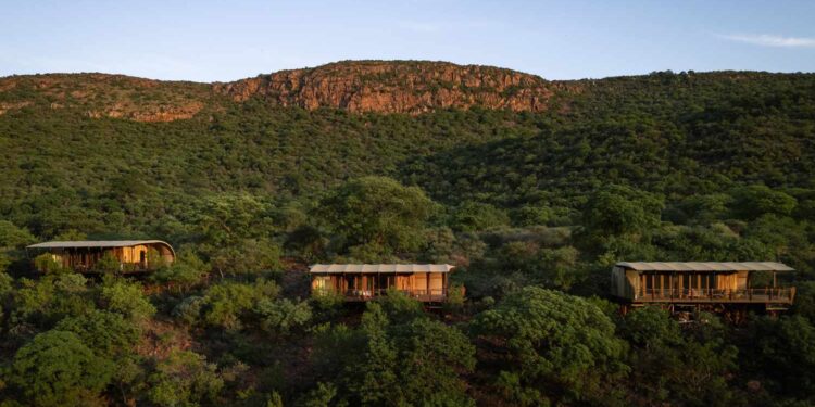 This Luxury Safari Lodge in South Africa Just Launched a Pay-What-You-Can Program