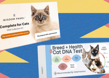 I Tried the Best At-Home Pet DNA Test Kits on My Two Cats (2025)