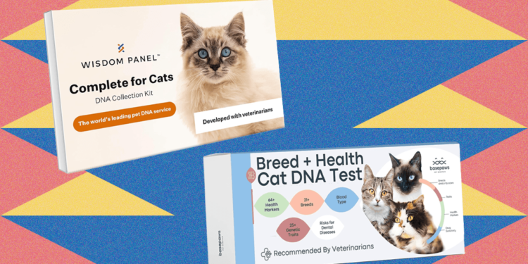I Tried the Best At-Home Pet DNA Test Kits on My Two Cats (2025)