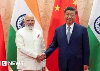 China and India pledge to be ‘partners not rivals’ at security summit