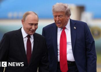 Kremlin plays down Zelensky talks as Trump warns Putin may not want to make deal