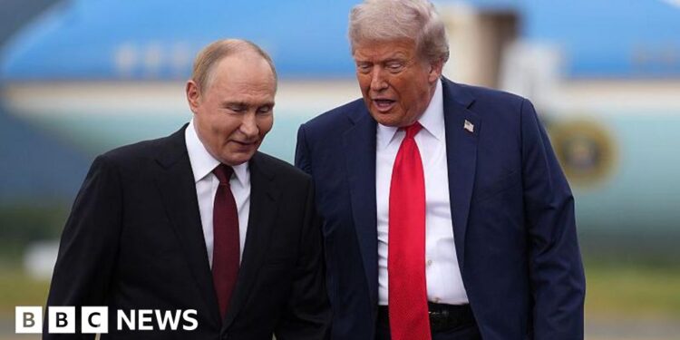 Kremlin plays down Zelensky talks as Trump warns Putin may not want to make deal