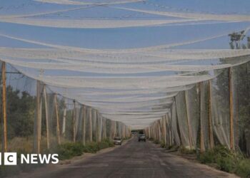 Why Donetsk matters so much for Ukraine’s defences against Russia