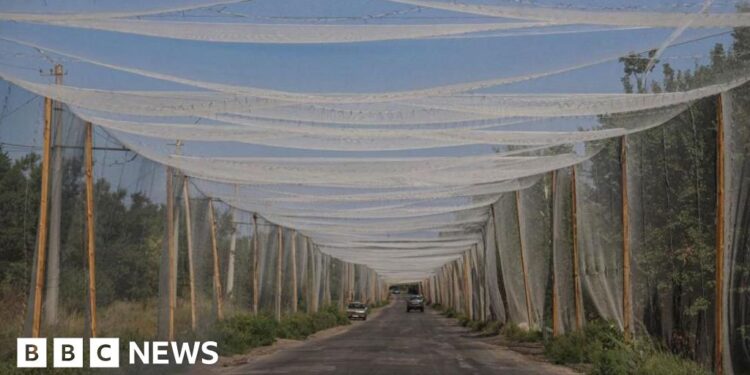 Why Donetsk matters so much for Ukraine’s defences against Russia