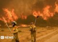 Wildfires rage in Spain and Portugal as heatwave continues