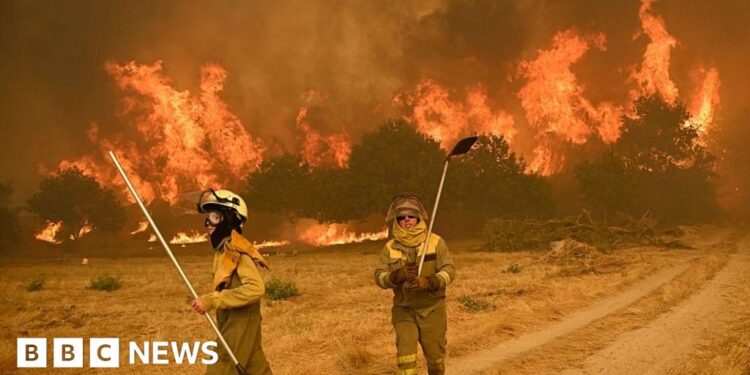 Wildfires rage in Spain and Portugal as heatwave continues