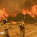 Wildfires rage in Spain and Portugal as heatwave continues