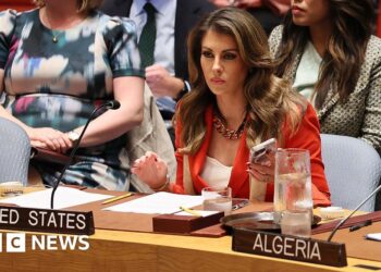 US vetoes UN call for ceasefire for sixth time