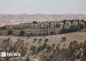 UAE warns Israel that annexing West Bank would cross ‘red line’