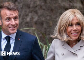 Macrons to offer ‘scientific’ court evidence to prove Brigitte is a woman, lawyer says