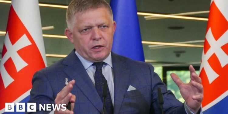 Slovakia passes law to recognise only two sexes and restrict adoption