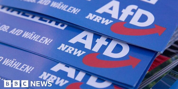 Germany’s far-right AfD suffers series of candidate deaths ahead of local vote