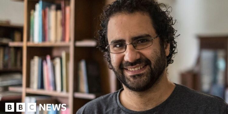 Egypt’s president pardons prominent activist