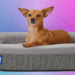 Best Dog Beds (2025): For All Kinds of Dogs in All Kinds of Spaces