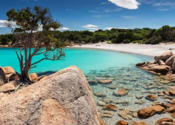 The World’s Newest Blue Zone Is a Charming Italian Town With Rolling Vineyards and Gorgeous Beaches