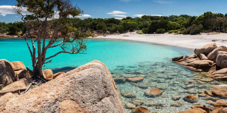 The World’s Newest Blue Zone Is a Charming Italian Town With Rolling Vineyards and Gorgeous Beaches