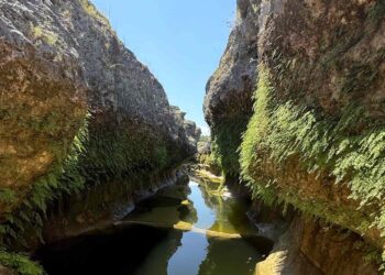The Blanco River Narrows Is One of the Best Swimming Holes in Texas