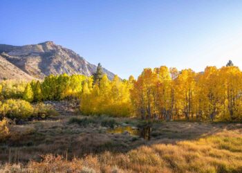 This Is the Best Place to See Fall Foliage in California