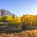 This Is the Best Place to See Fall Foliage in California