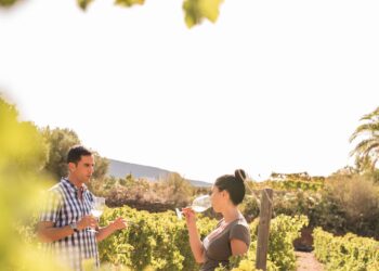 7 Under-the-radar Wine Regions in Spain With Some of the Best Vineyards in the World