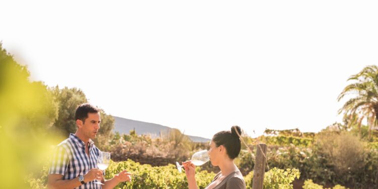 7 Under-the-radar Wine Regions in Spain With Some of the Best Vineyards in the World