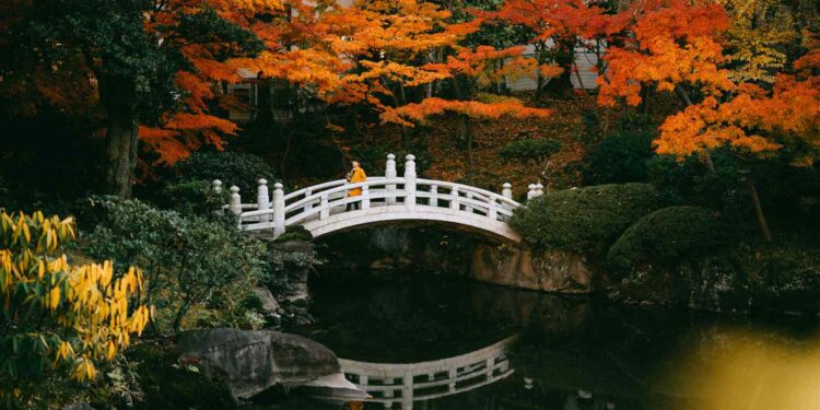 These Shoulder-season Months Are the Secret to Saving Money and Avoiding Crowds During Your Tokyo Trip