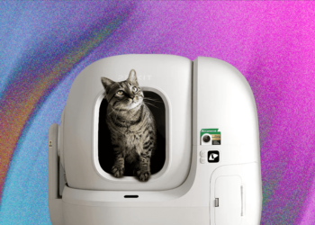 7 Best Automatic Litter Boxes (2025), Tested and Reviewed