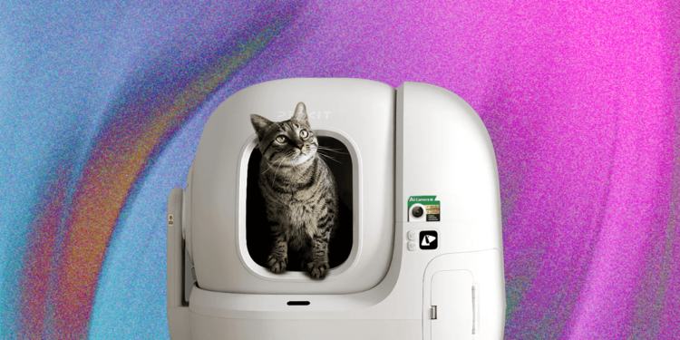 7 Best Automatic Litter Boxes (2025), Tested and Reviewed