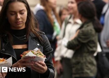 Turkey abandons food fight to force doner kebab rules on Europe