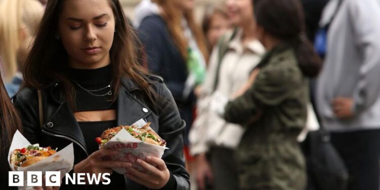 Turkey abandons food fight to force doner kebab rules on Europe