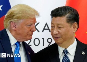 Trump and Xi discuss future of TikTok in US