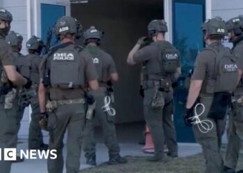 South Korea vows support for citizens detained by ICE