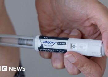 Ozempic maker Novo Nordisk’s board shaken up as directors quit