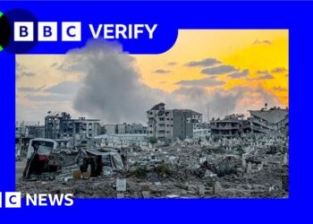 Unpicking Trump’s Gaza peace plan map