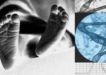 A New Startup Wants to Edit Human Embryos