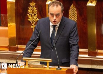 French PM backs freezing Macron’s pension reform to save government