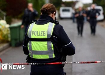 German mayor critically injured in stabbing attack, police say