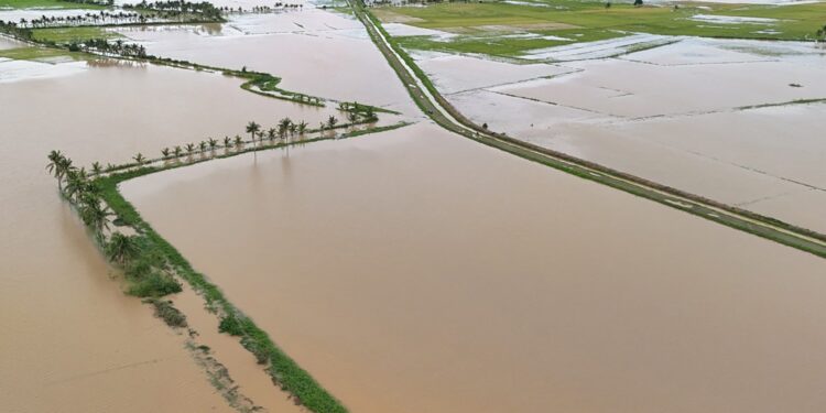 Thousands evacuate Philippine coast as Tropical Storm Fengshen approaches | Climate Crisis News