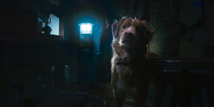 Ben Leonberg Teaches an Old Genre New Tricks