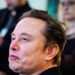 Elon Musk’s Grokipedia Pushes Far-Right Talking Points